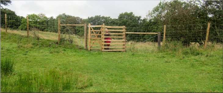 Kissing gate in the deer fence at the edge of the valley of Shell Brook